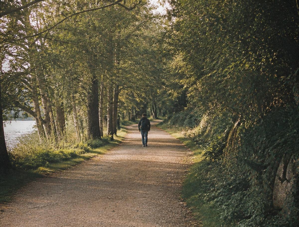 A person walking alone along a quiet tree-lined path in late afternoon light